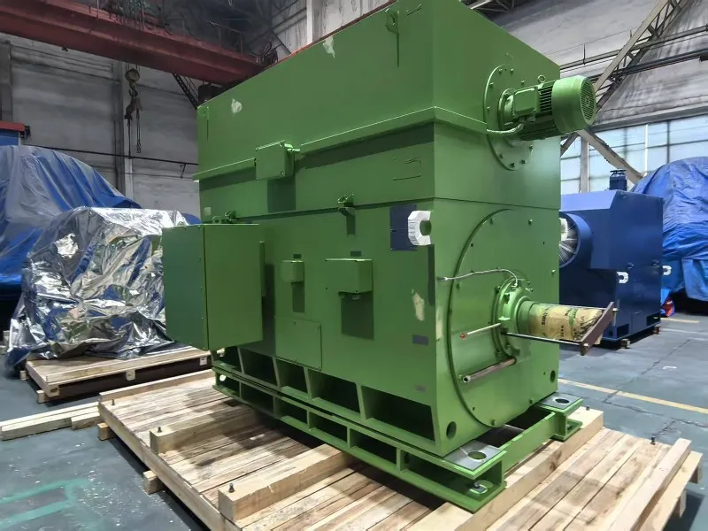 High-Voltage Motors High-Voltage Motors
